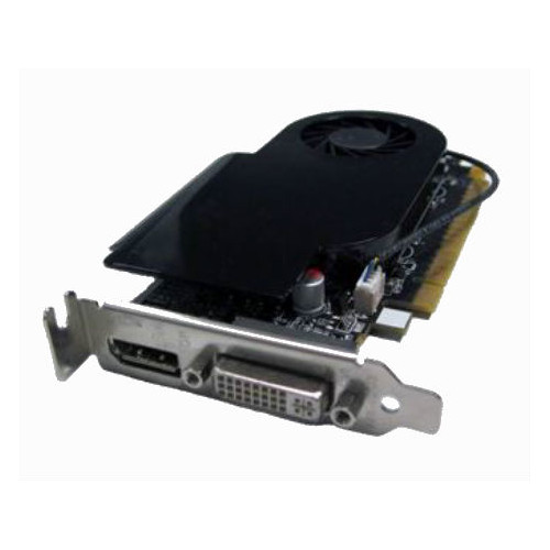 NVIDIA GeForce GT630 DisplayPort 2GB LP
