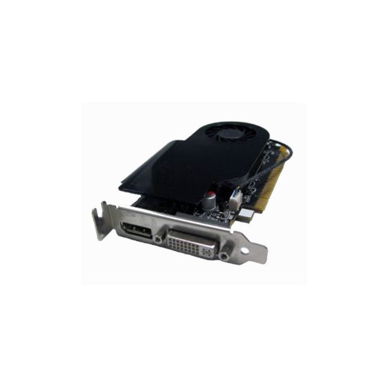 NVIDIA GeForce GT630 DisplayPort 2GB LP