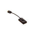 HDMI Conversion Cable
