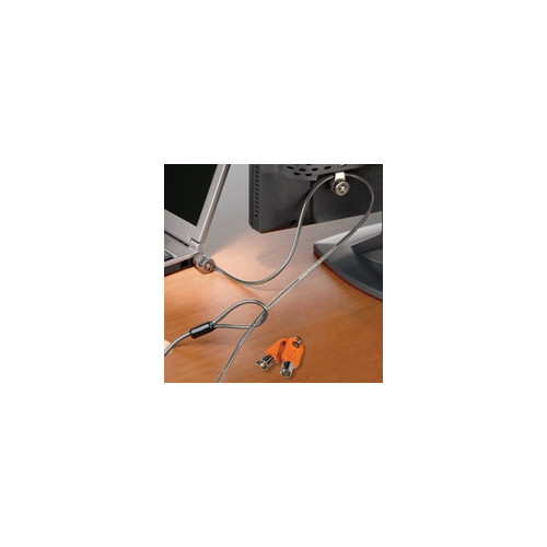 MicroSaver Twin