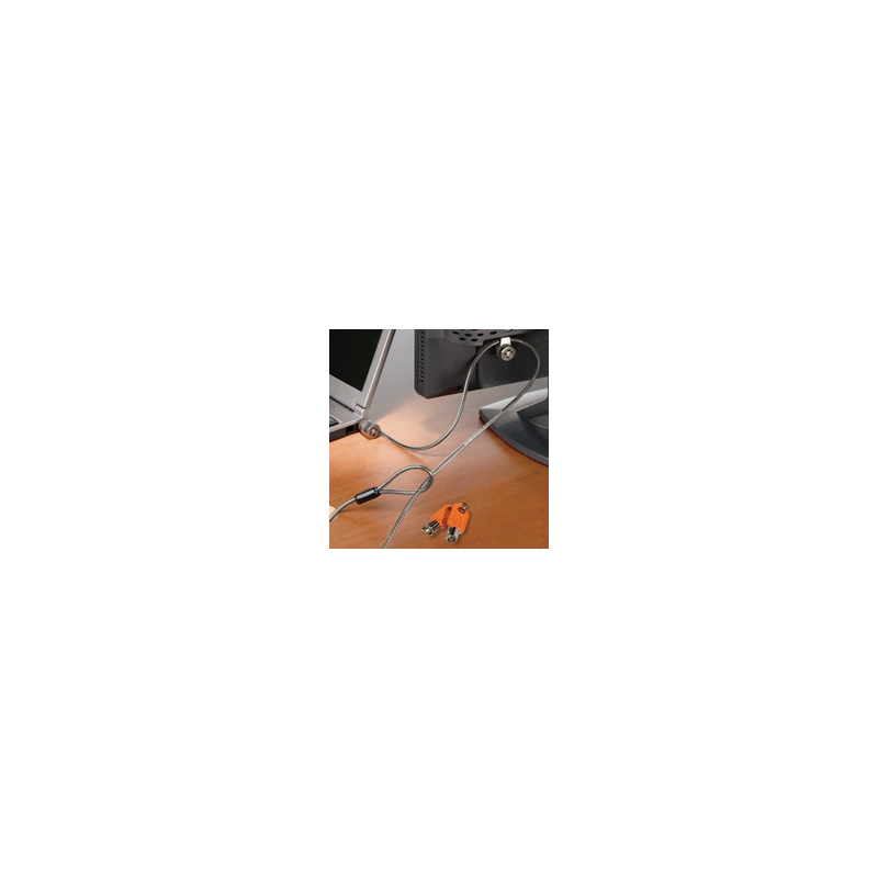 MicroSaver Twin