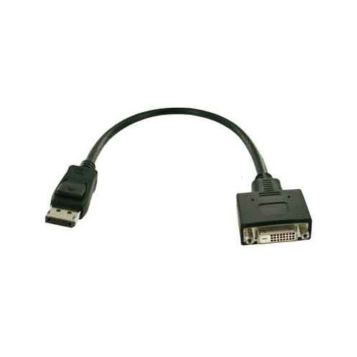 Display Port / DVI-D adapter cable