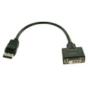Display Port / DVI-D adapter cable