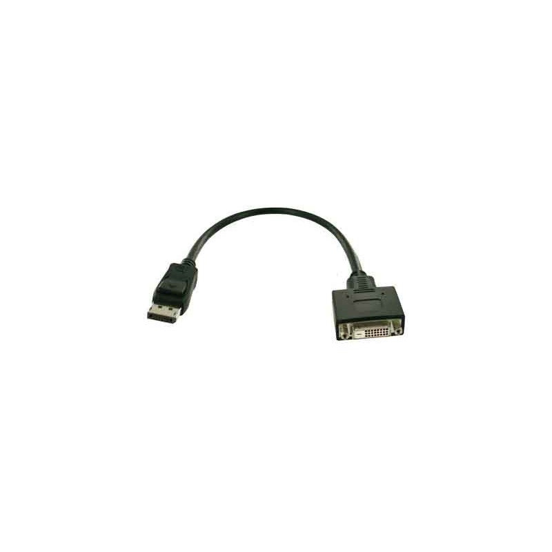 Display Port / DVI-D adapter cable