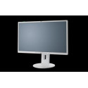 Fujitsu Monitor P24-8 TE P,1920 x1080,EU,Pline 23.8'',ABC