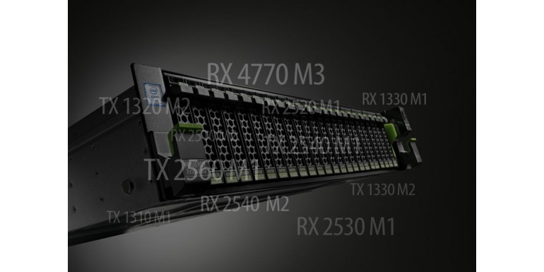 Nazewnictwo Fujitsu Primergy
